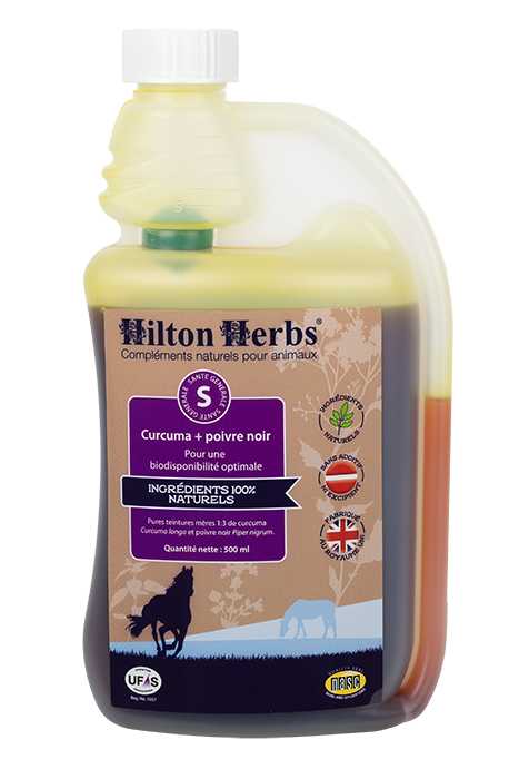 Hilton Herbs Pierre à sel noir de l'Himalaya 1 kg, Cheval