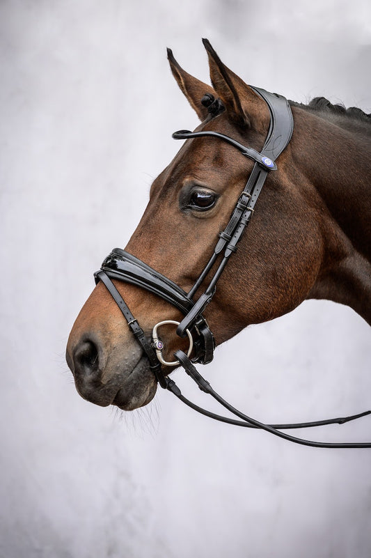 Bridle GP black - PS of Sweden