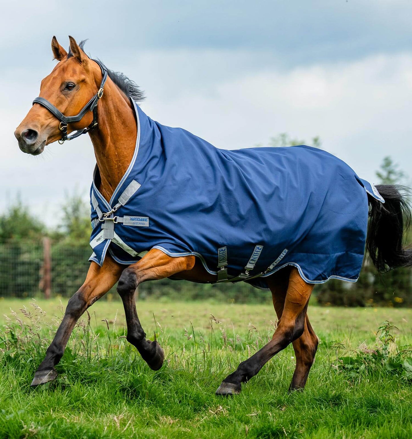 Couverture Rhino Wug Turnout 100gr, Navy / Titanium - Horseware