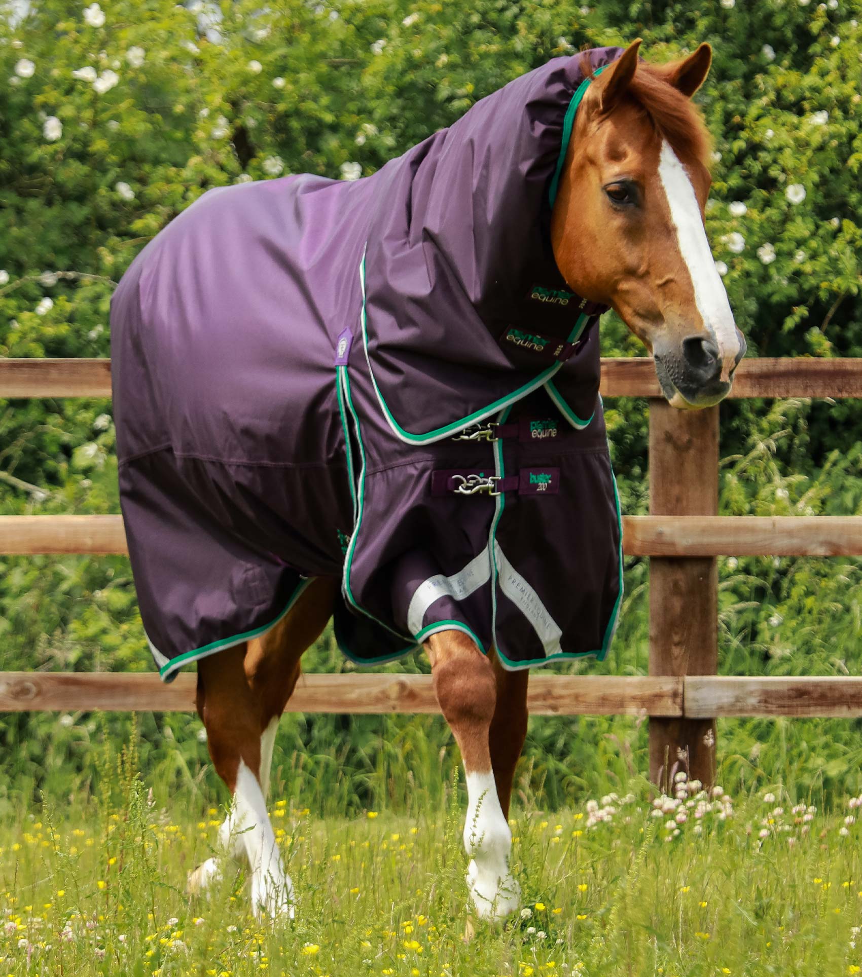 Couverture imperméable, Buster 400gr cou-amovible - Premier Equine – Crin  d'élégance Sellerie