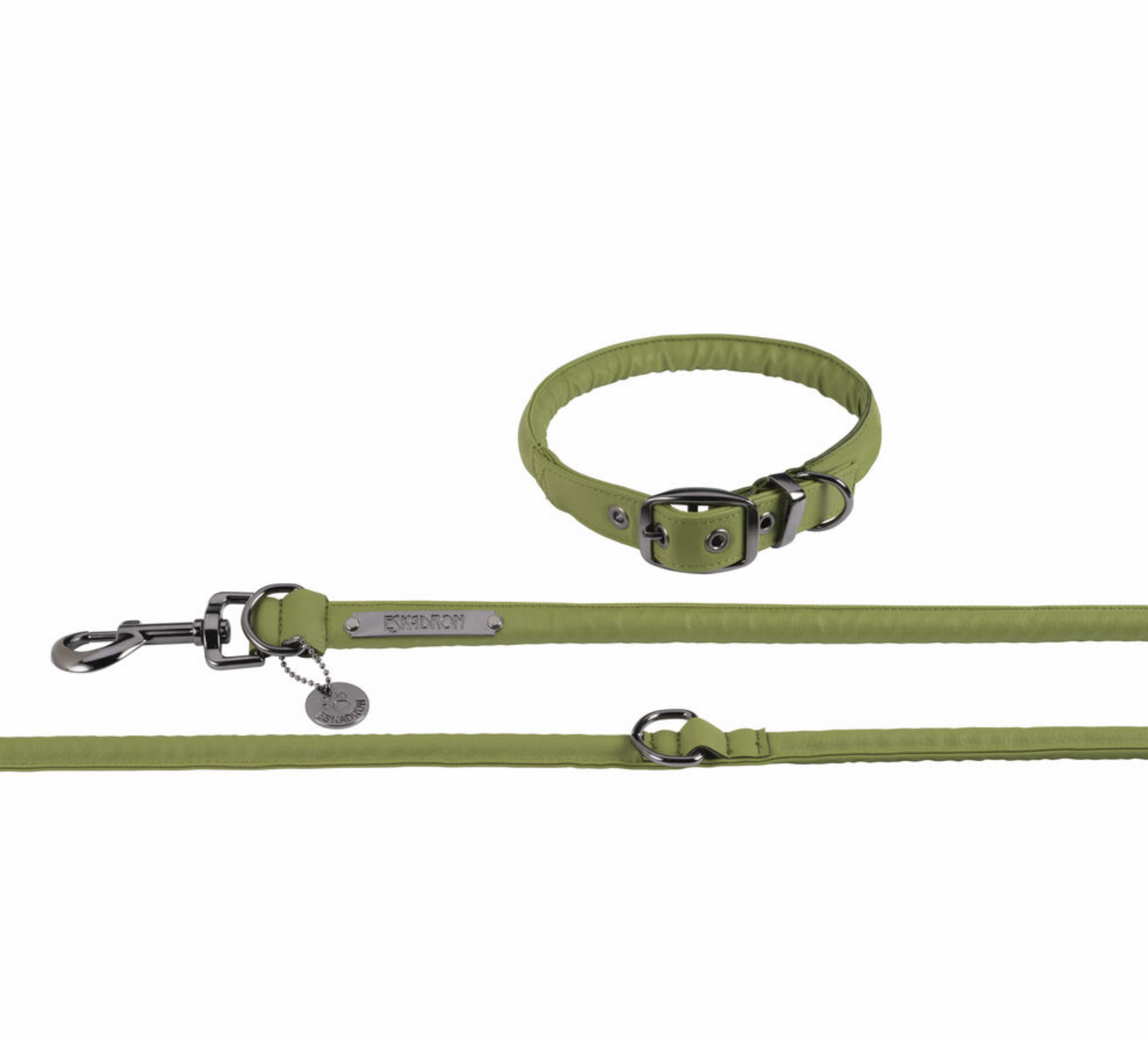 Set collier / Laisse pour chien - Eskadron Platinum 24