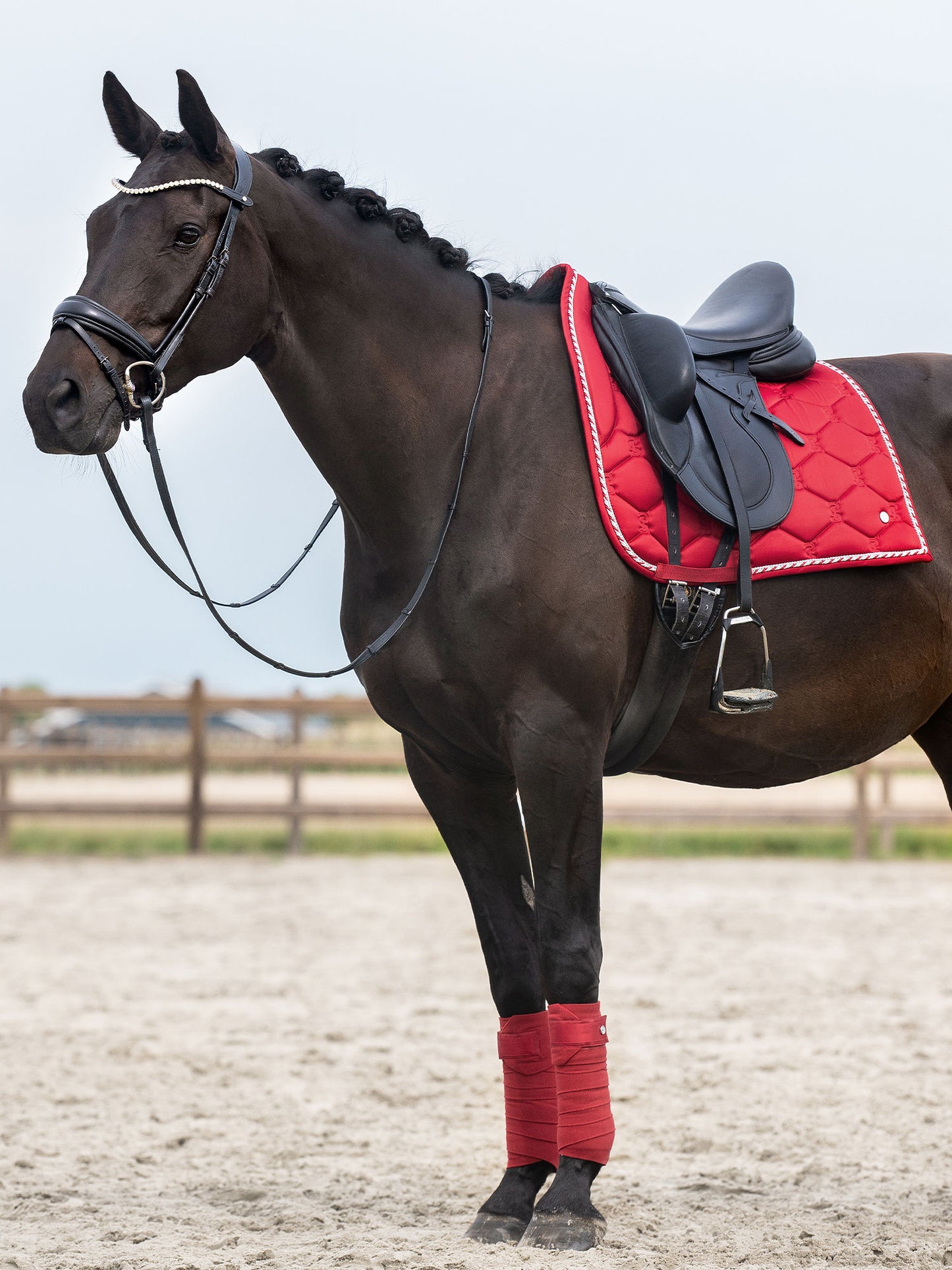 Bandes de polo Signature, Chilli Red - Ps of Sweden FW 23