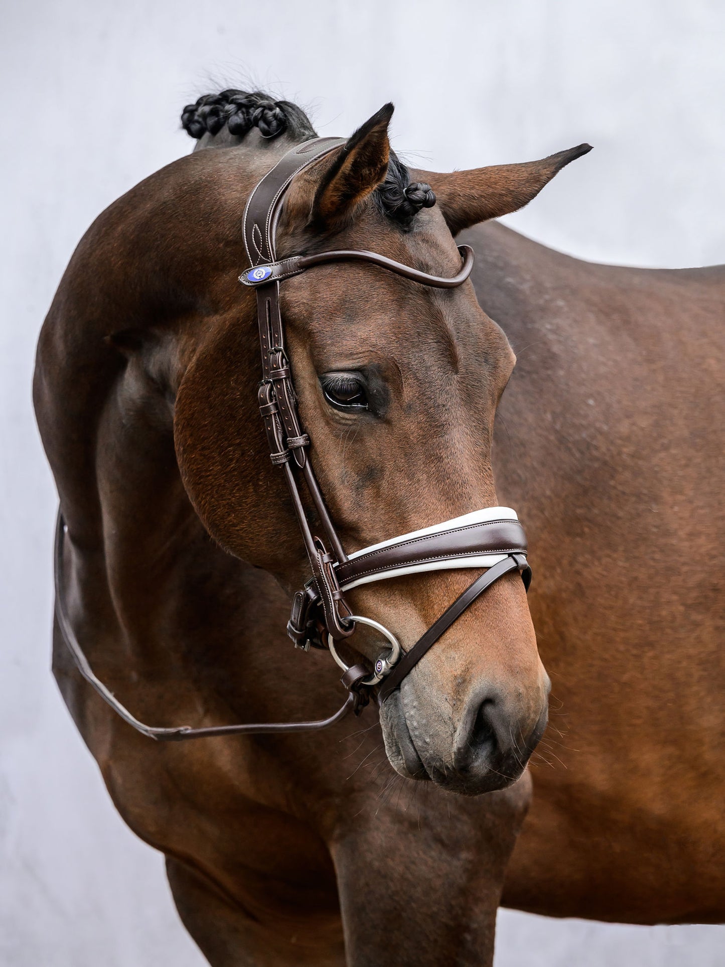 Bridon GP marron avec musserolle Blanche  - PS of Sweden