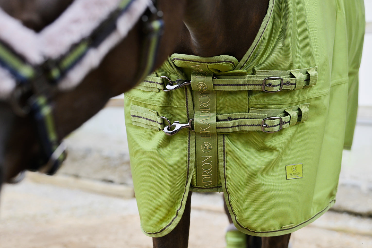 Turnout rug imperméable Beta 100gr, moss green - Eskadron Platinum 24