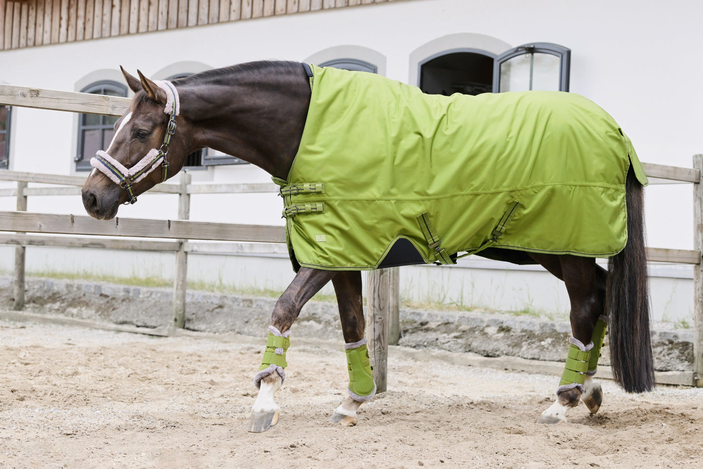 Turnout rug imperméable Beta 100gr, moss green - Eskadron Platinum 24