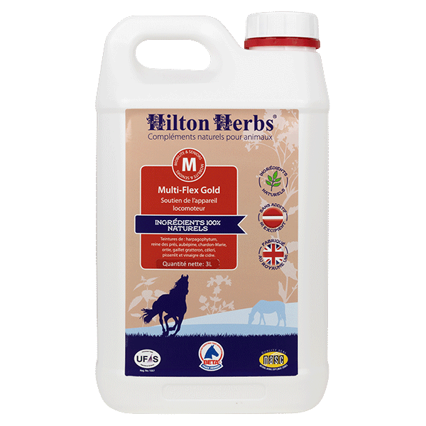 Multi-Flex Gold, 3L - Hilton Herbs