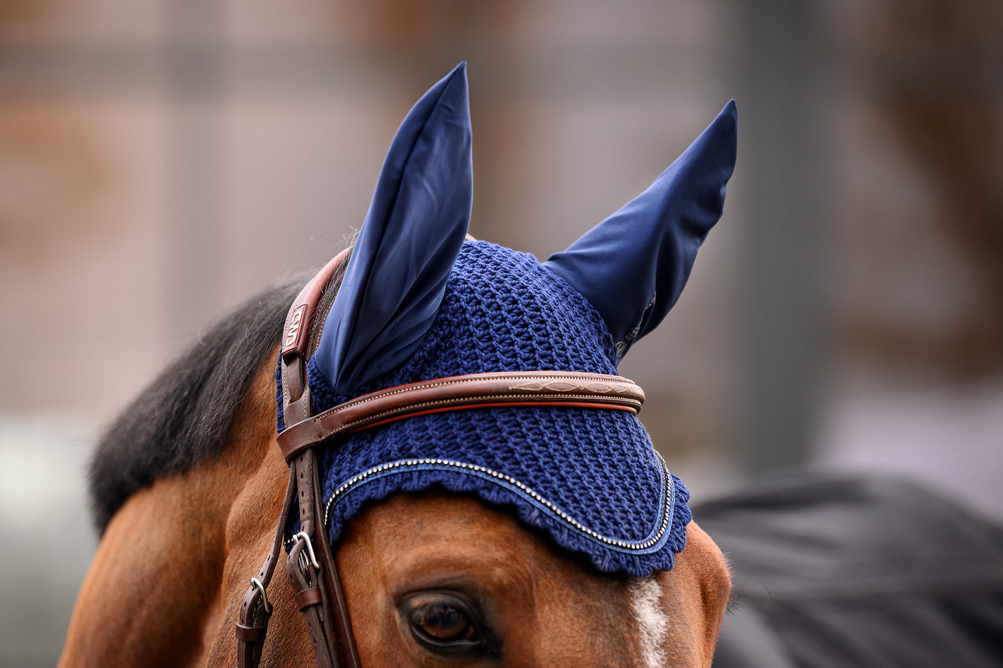 Bonnet CavalJetty, night blue - Cavallo AW24