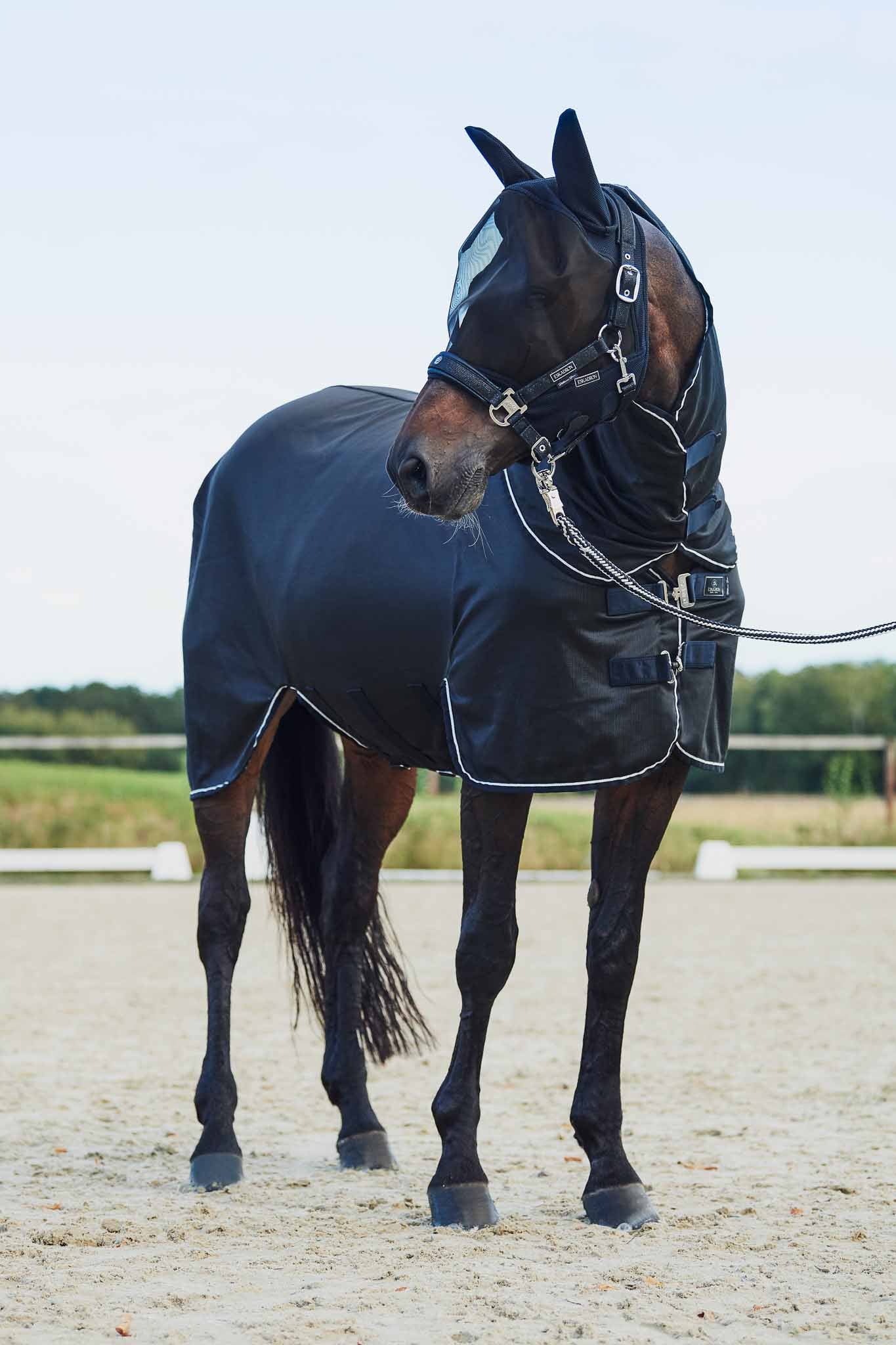 Fly rug, Navy - Platinum Pure
