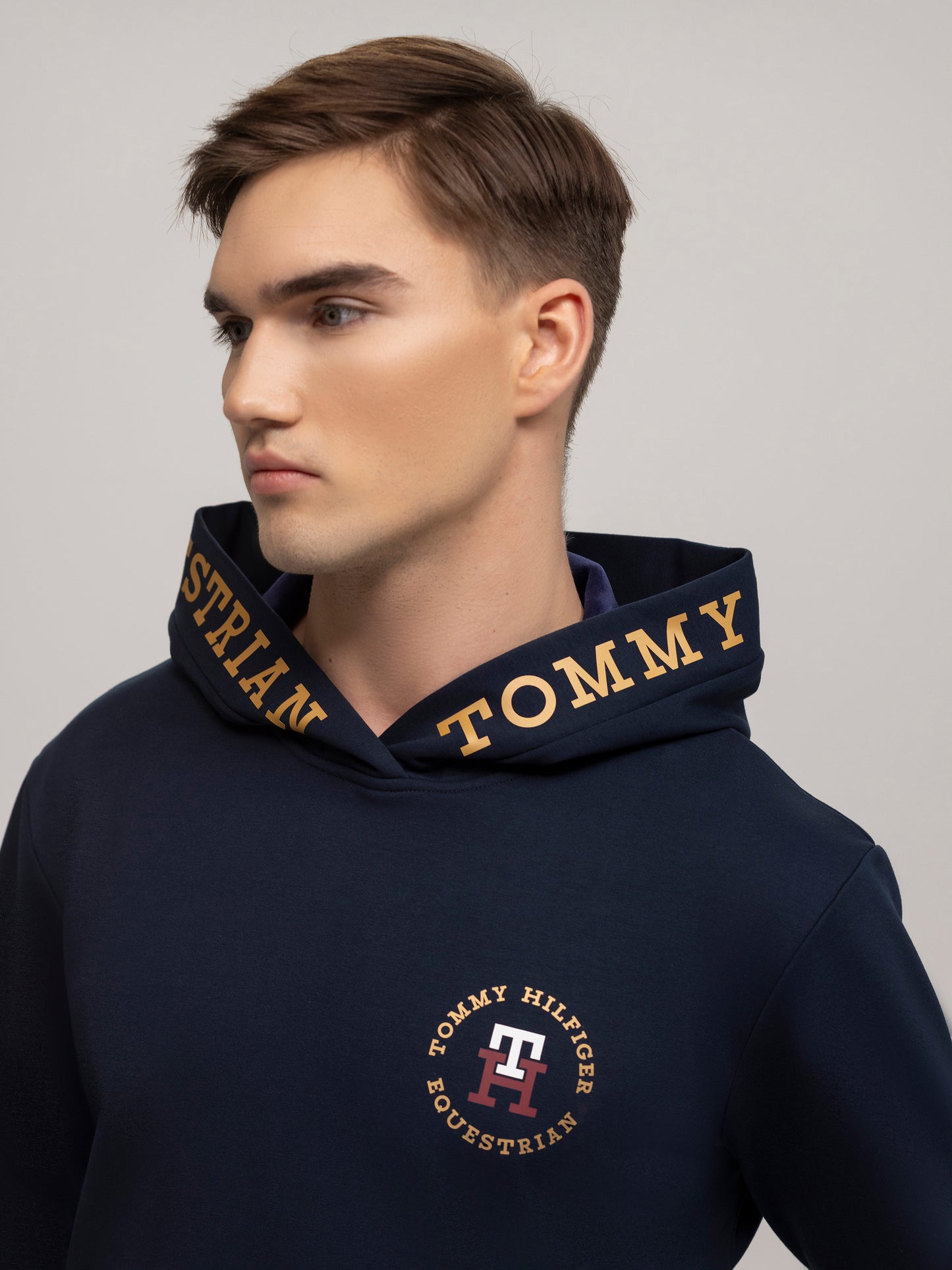 Hoodie Austin homme, Desert Sky - Tommy Hilfiger AW24