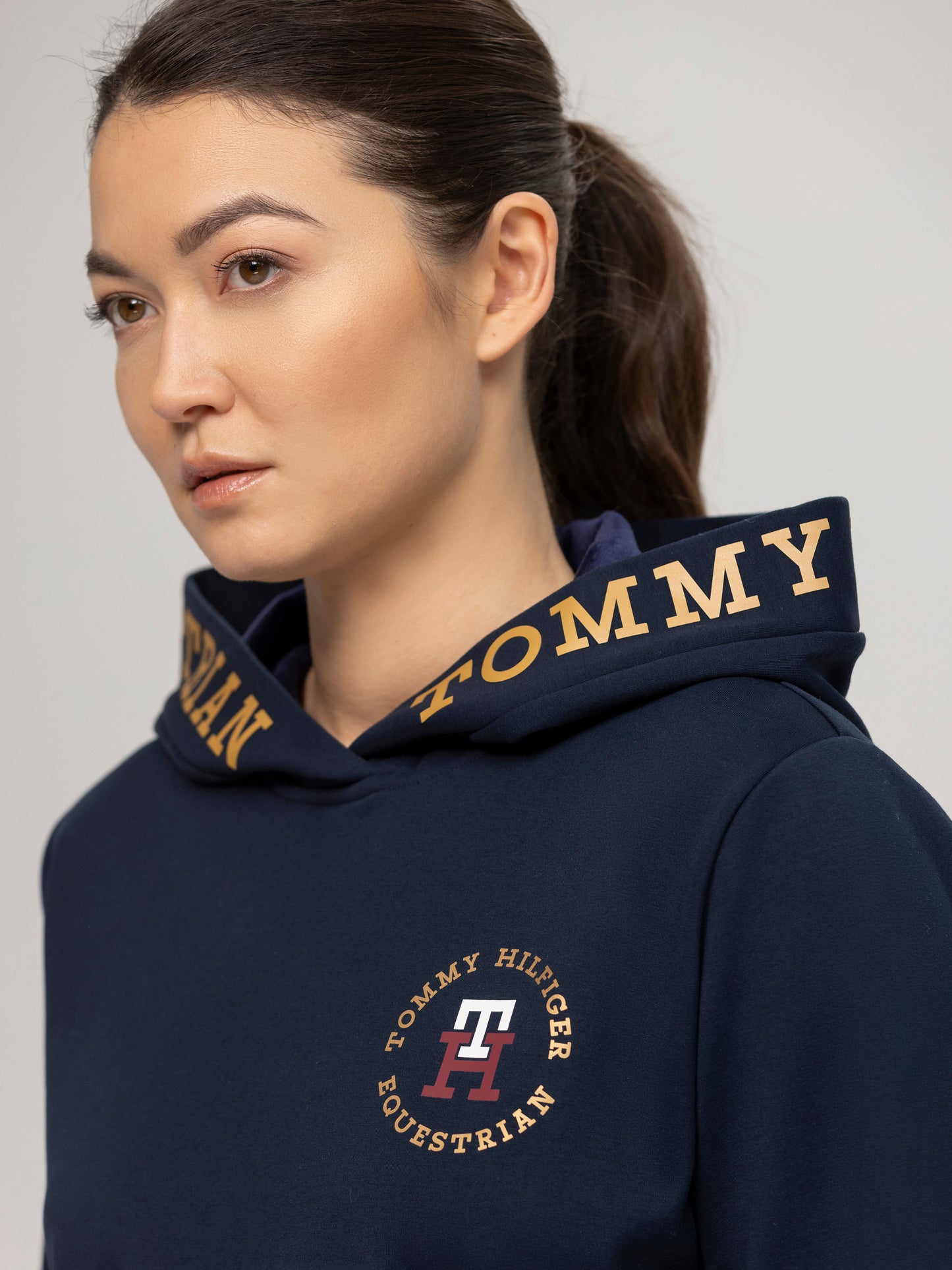 Hoodie Colorado, Desert Sky - Tommy Hilfiger AW24