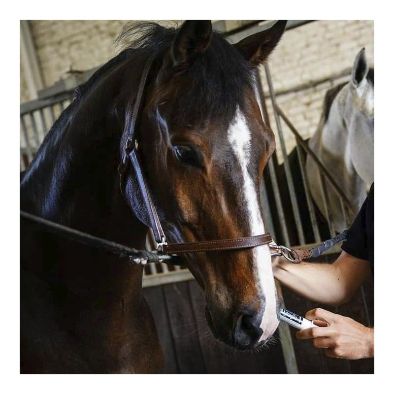 Equistress Flash, Horse stress and anxiety - ESC Laboratoire