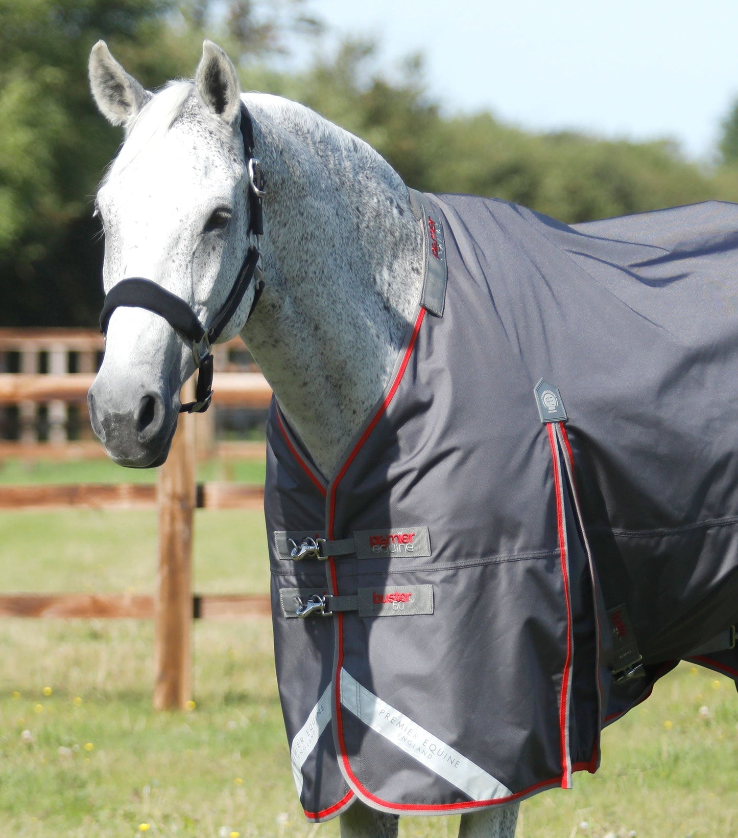 Couverture imperméable, Buster 50gr avec cou amovible - Premier Equine