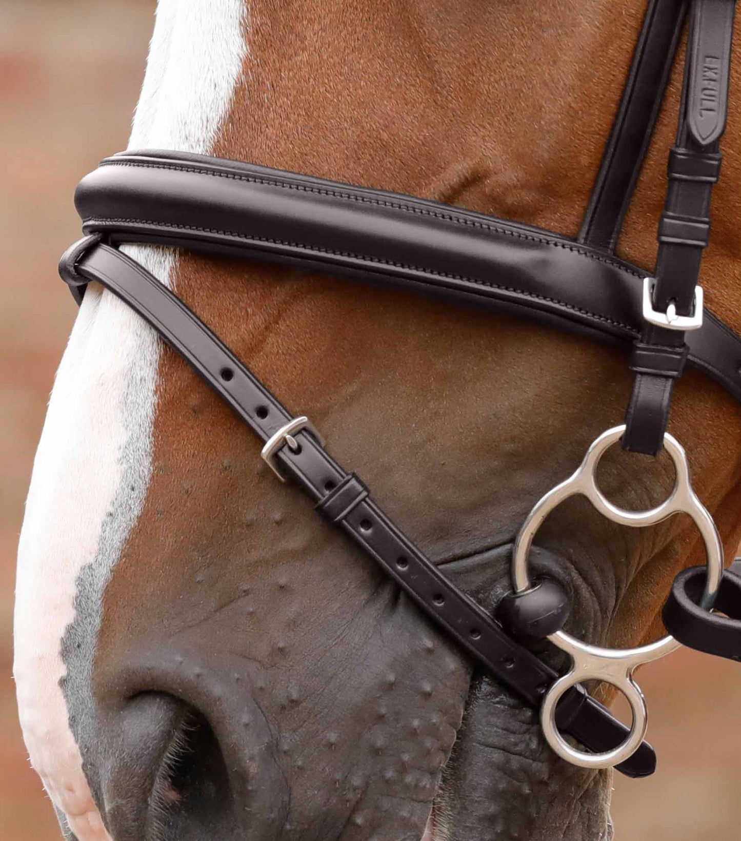 Lambro anatomical bridle - Premier equine