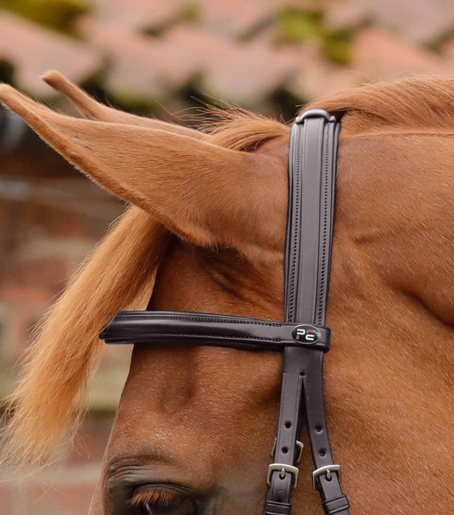 Lambro anatomical bridle - Premier equine