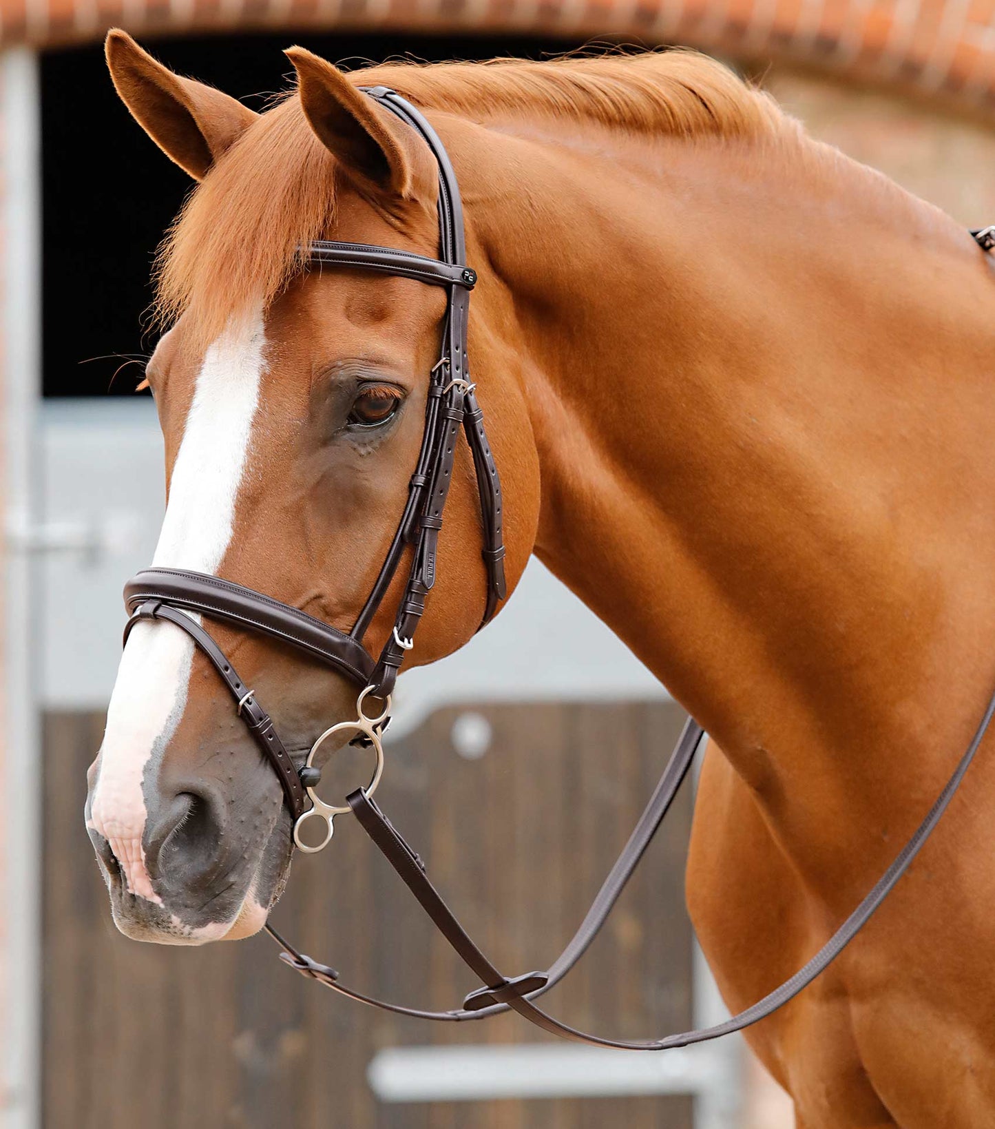 Lambro anatomical bridle - Premier equine