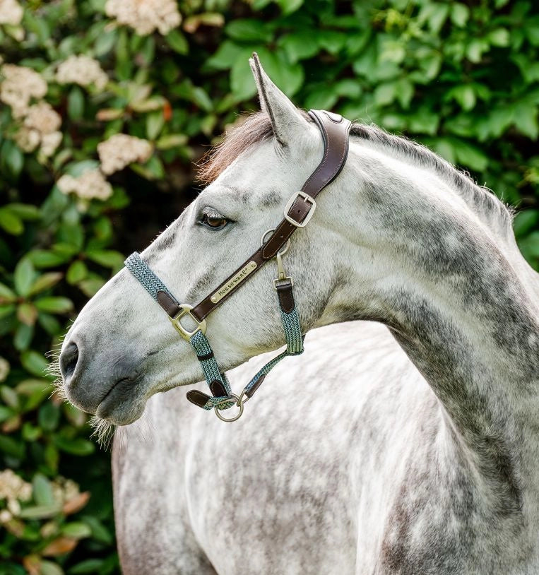 Licol Signature Braided Headcollar - Horseware