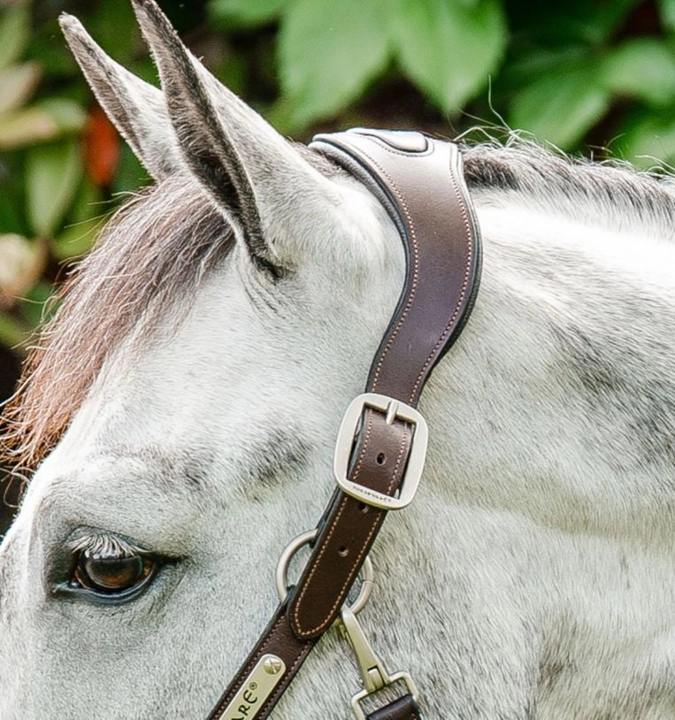 Licol Signature Braided Headcollar - Horseware