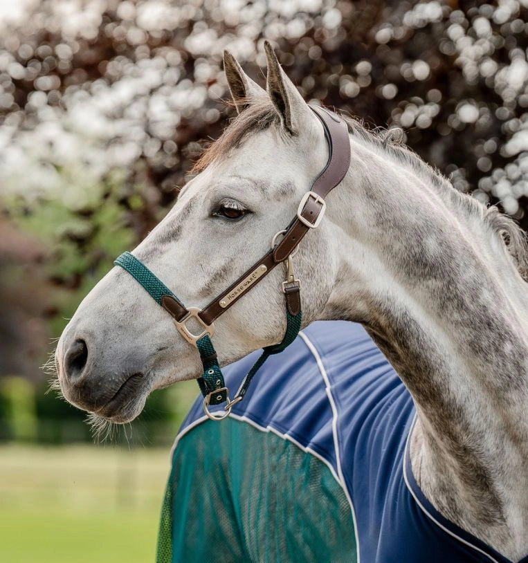 Licol Signature Braided Headcollar - Horseware