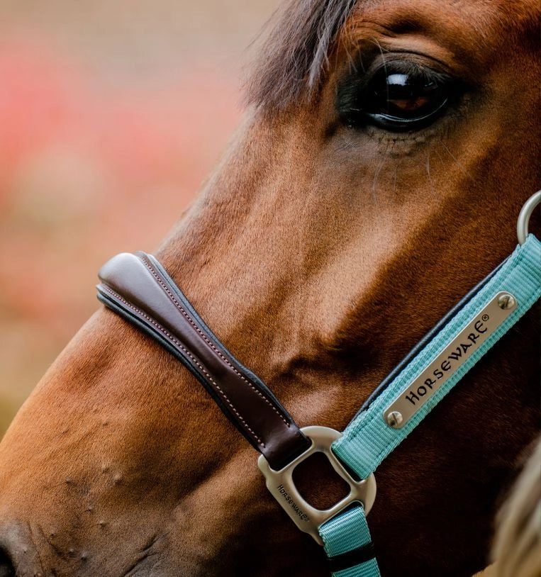 Licol Signature Competition Headcollar - Horseware