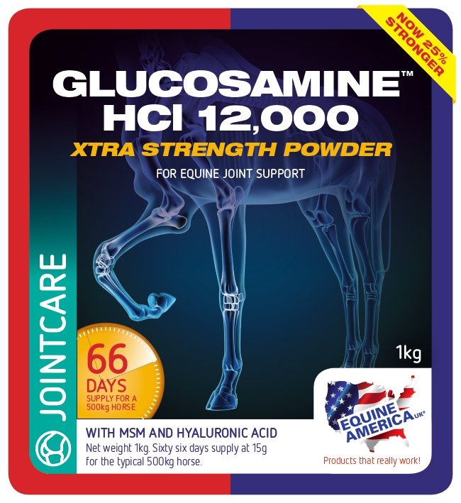 Glucosamine HCI 12,000, santé articulaire, 1kg - Equine America