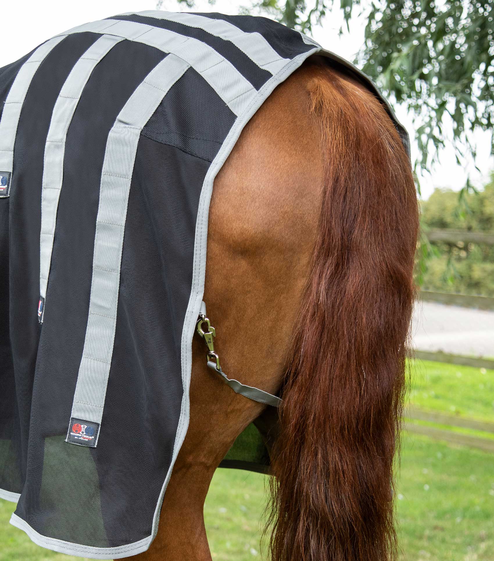 Couverture magnétique cheval - Premier Equine – Crin d'élégance Sellerie