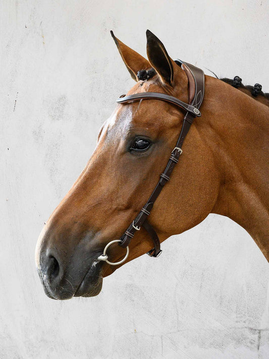 Bridons - Sellerie Equestrial - Passionnément cheval