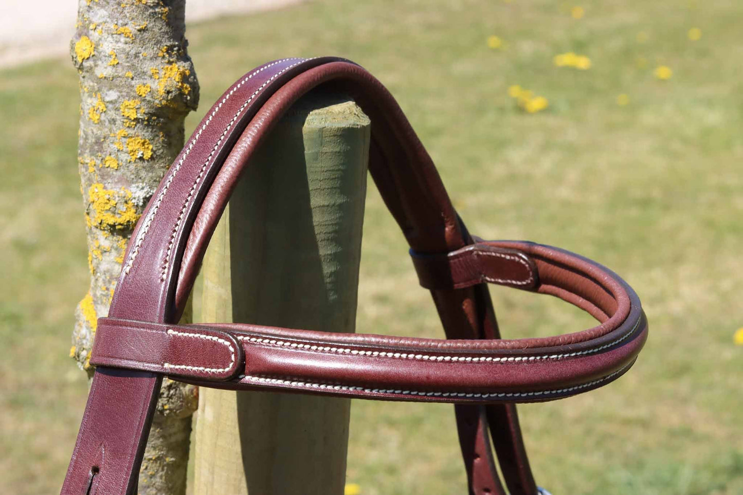 Bridon New Classic - Cavaletti