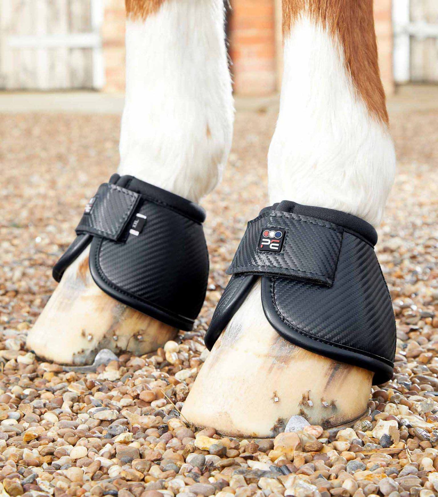 Carbon Tech Kevlar Bell Boots - Premier Equine