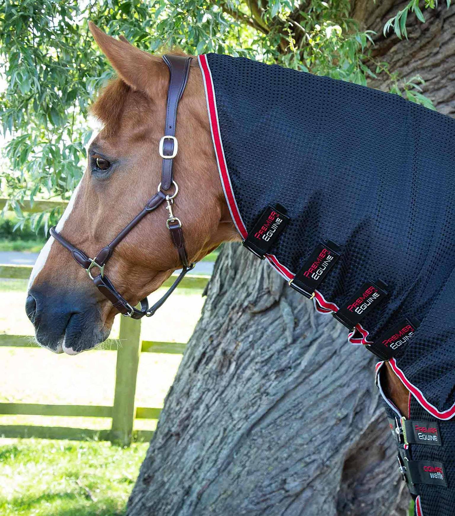 Chemise séchante Combo Buster Waffle - Premier Equine