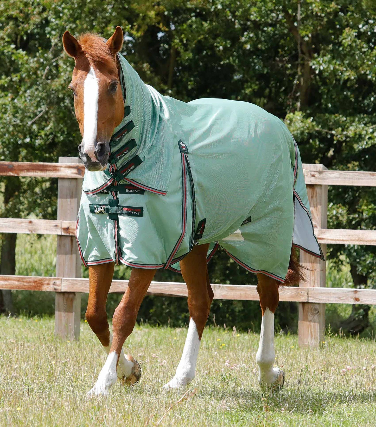 Couverture Combo Mesh Air, anti-mouche UV - Premier Equine