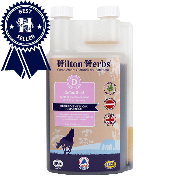 Detox Gold, 1 l - Hilton Herbs