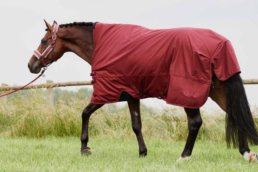 Couverture imperméable, Titan Trio Complet 4 en 1 - Premier Equine – Crin  d'élégance Sellerie