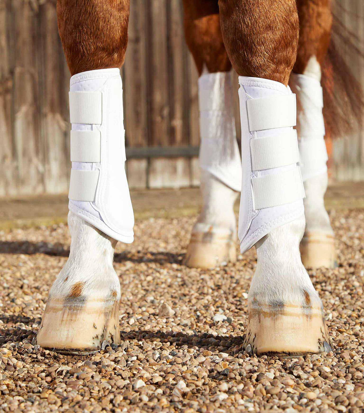 Equine hot sale brushing boots