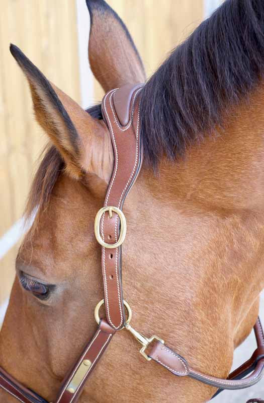 Leather halter with anatomic headpiece, Tobacco - TDET