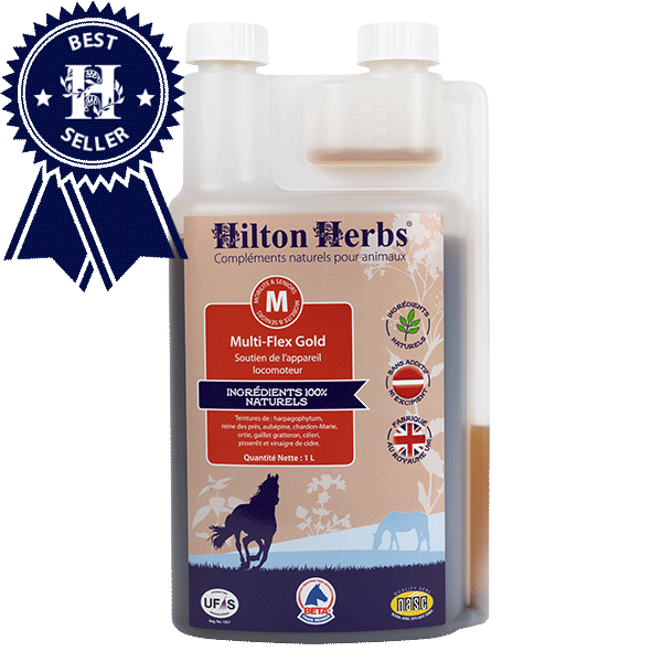 Multi-Flex Gold, 1L - Hilton Herbs